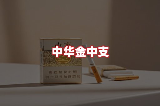 中华金中支